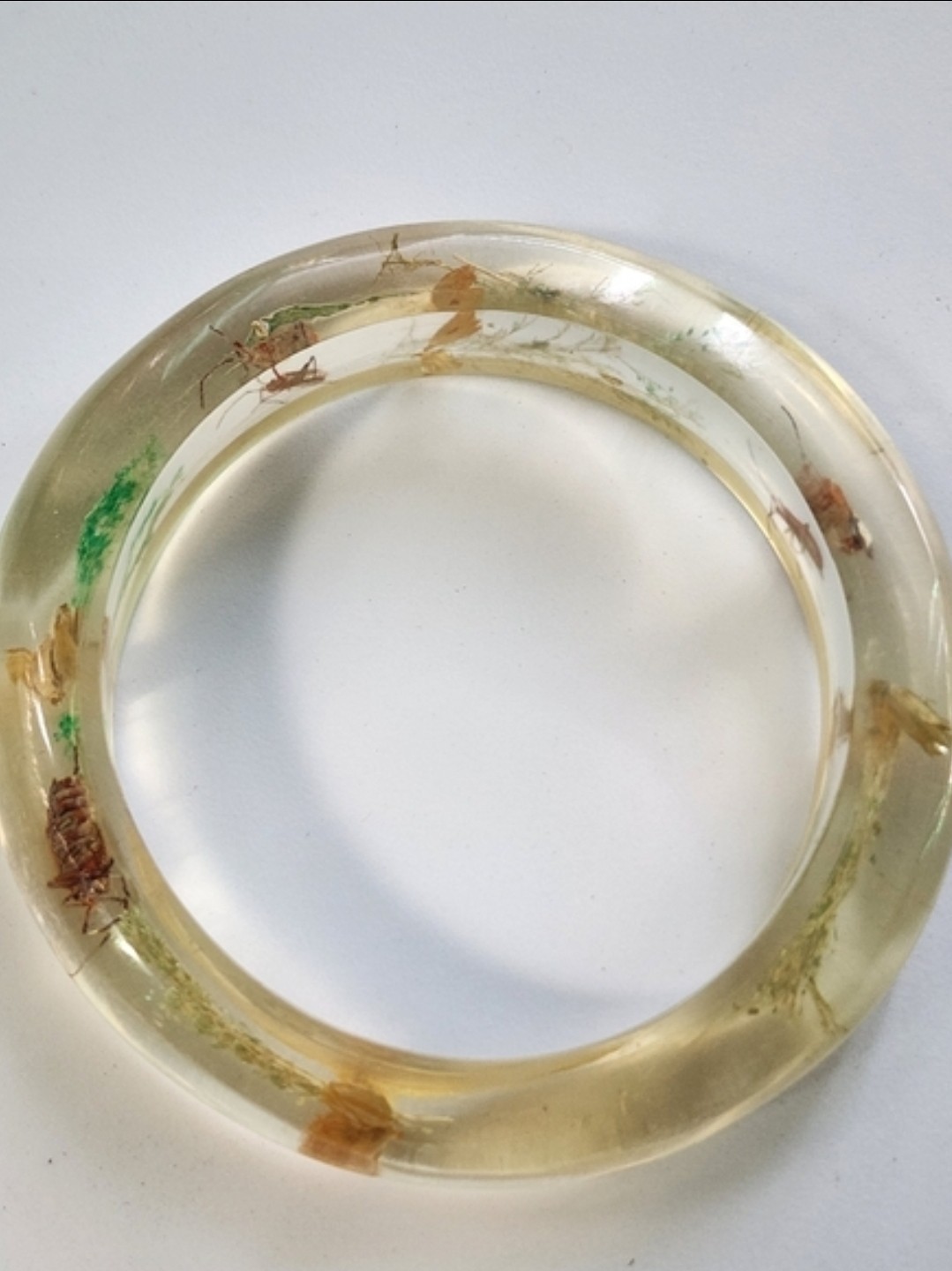 Vintage Bontanical Flora & Insect Lucite Bangle