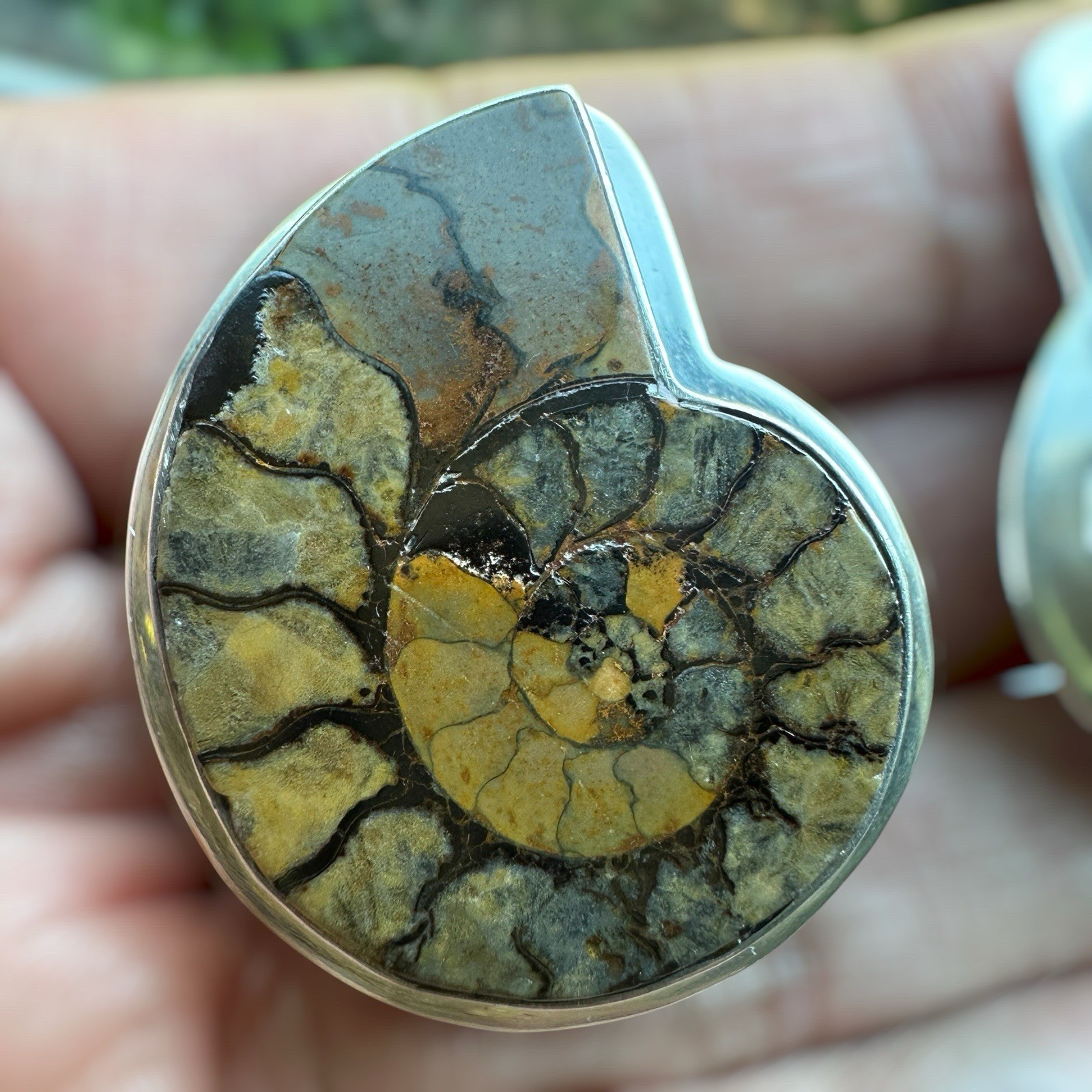 Vintage AKR Amy Kahn Russell Clip Earrings 1.5 Inch Ammonite 925 Sterling 27.2g