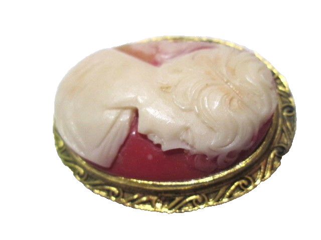 CLASSIC STYLE CARVED LUCITE CAMEO PIN GOLD TONE FANCY SETTING VINTAGE