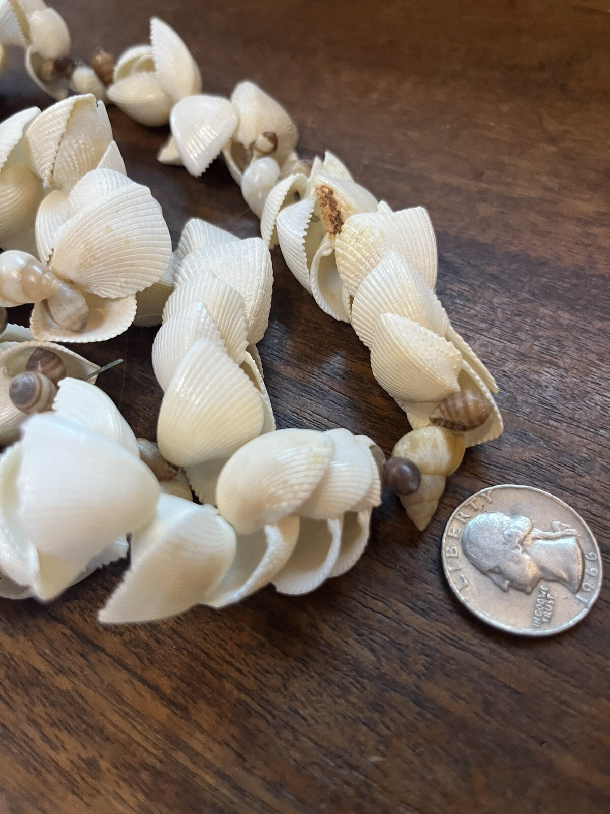 Vintage Hawaiian Wedding lei necklace 34 In Clam Shells Beautiful
