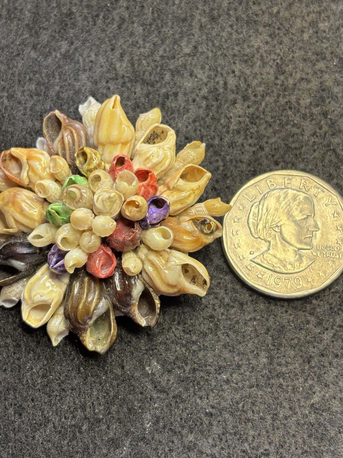 Vtg Artisan Made Natural Seashell Brooch Floral Design Multicolor 2” W/ Box