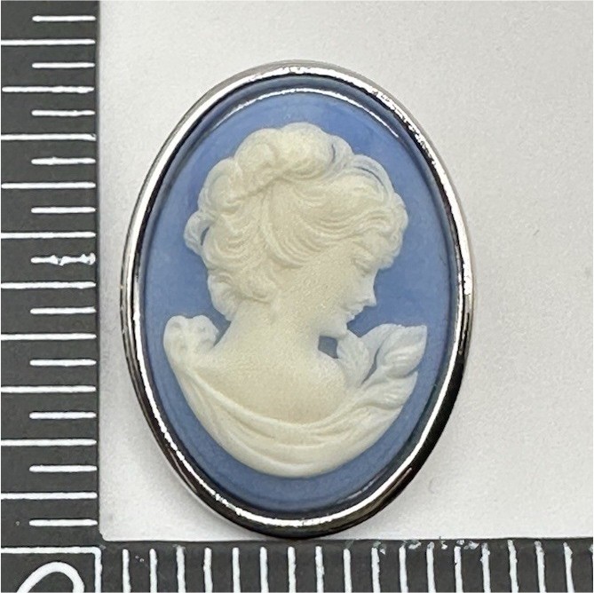 Cameo Portrait Brooch Pin, Silver Tone Blue & White, 1 in