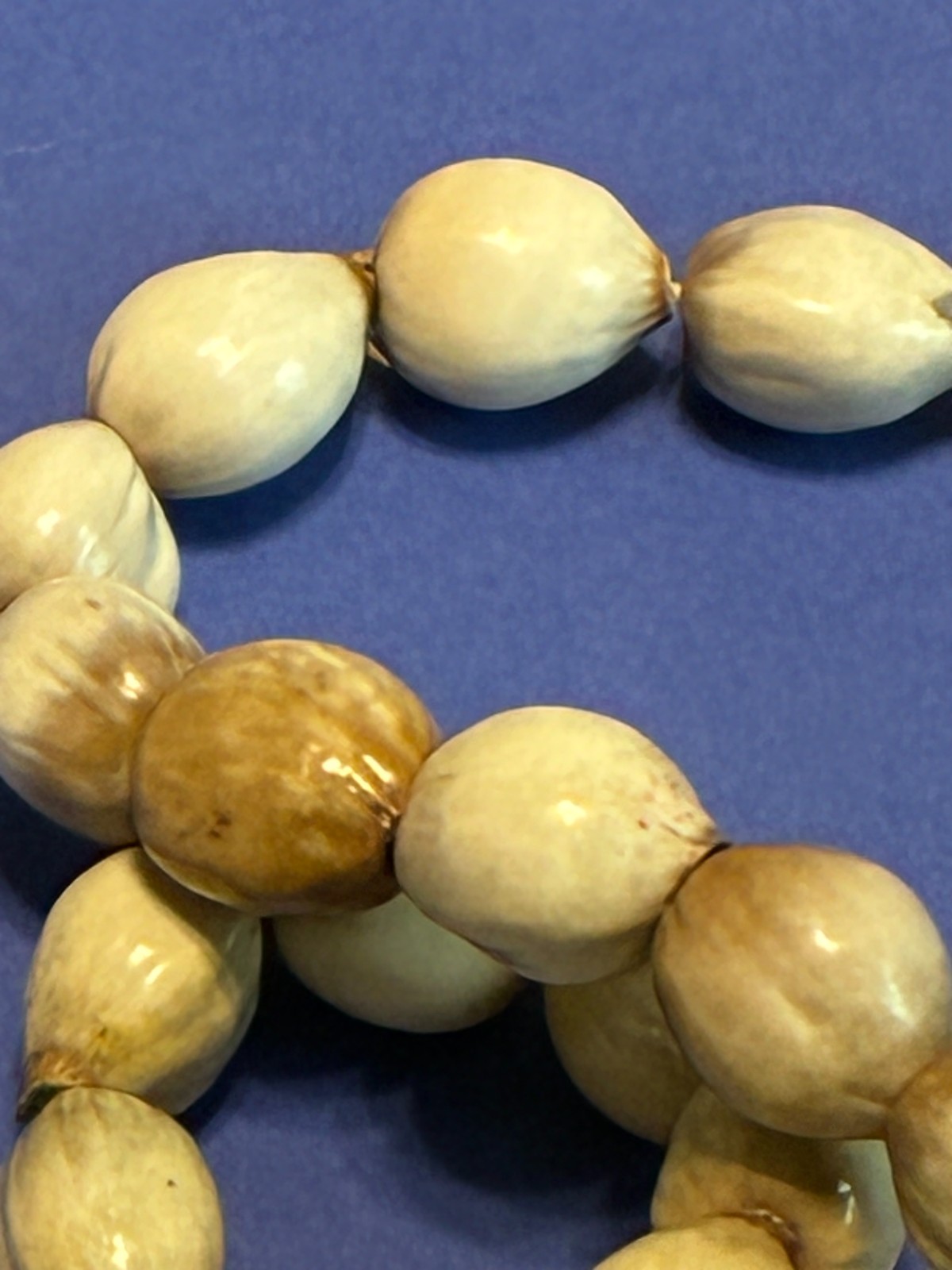 Long Natural Tropical Seed Necklace – Earthy Organic Boho Jewelry-Ethnic-Beachy