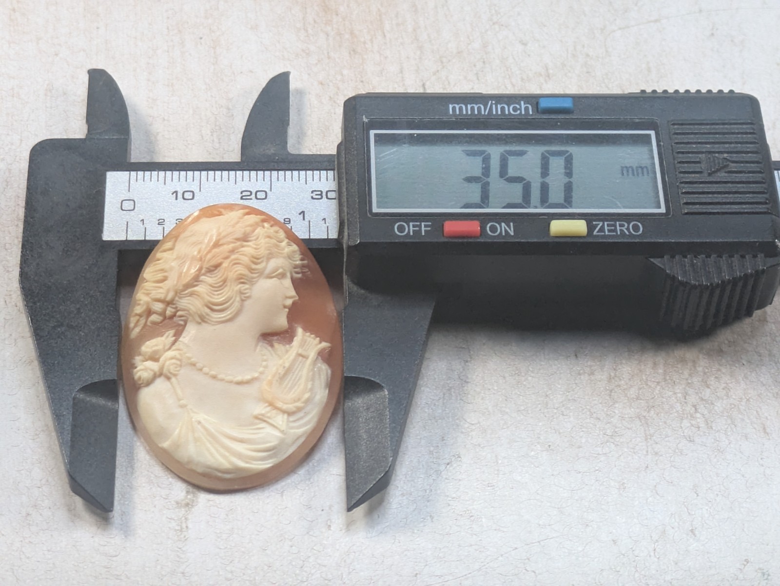 Cameo Carved Loose 45mm X 35mm Shell (5.3g)