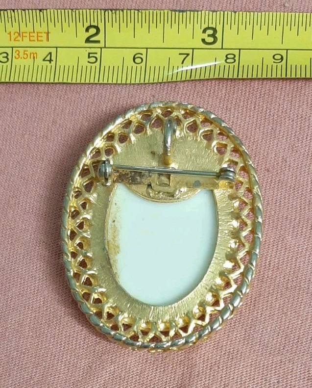 BEAUTIFUL Vintage Woman’s Portrait Cameo Art Brooch Pin Gold Tone Border