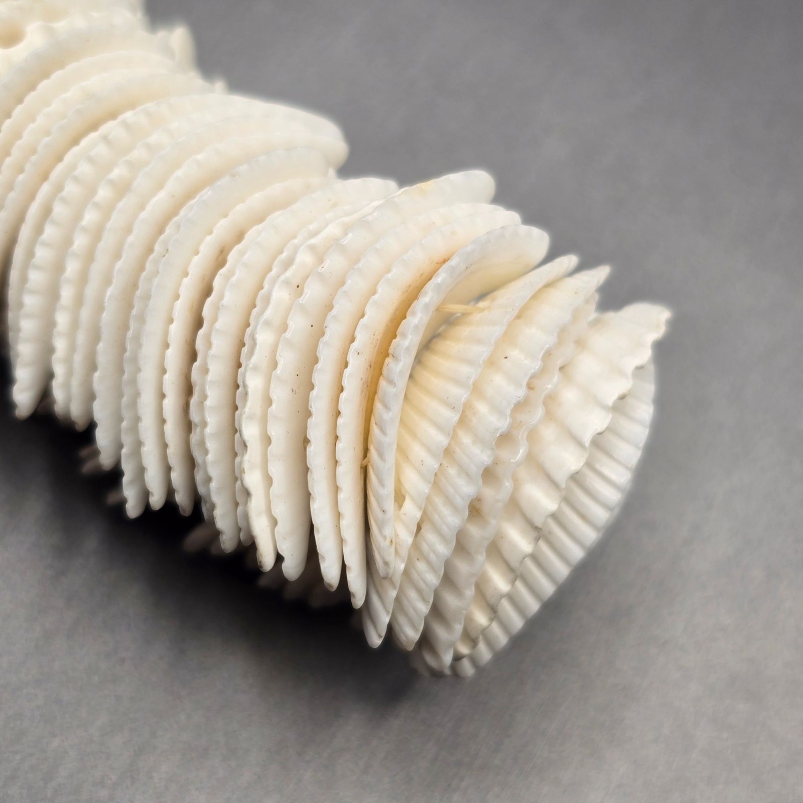 Vintage White Seashell Stretch Bracelet Bohemian Textured Statement