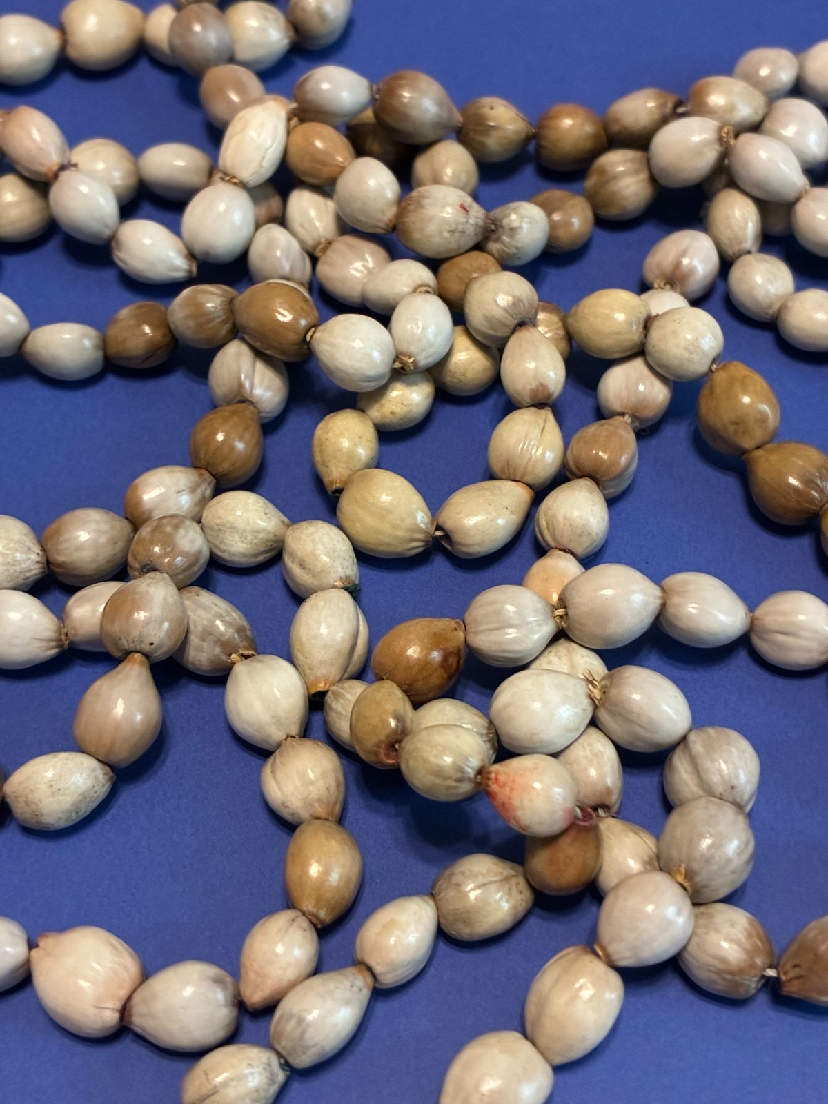 Long Natural Tropical Seed Necklace – Earthy Organic Boho Jewelry-Ethnic-Beachy