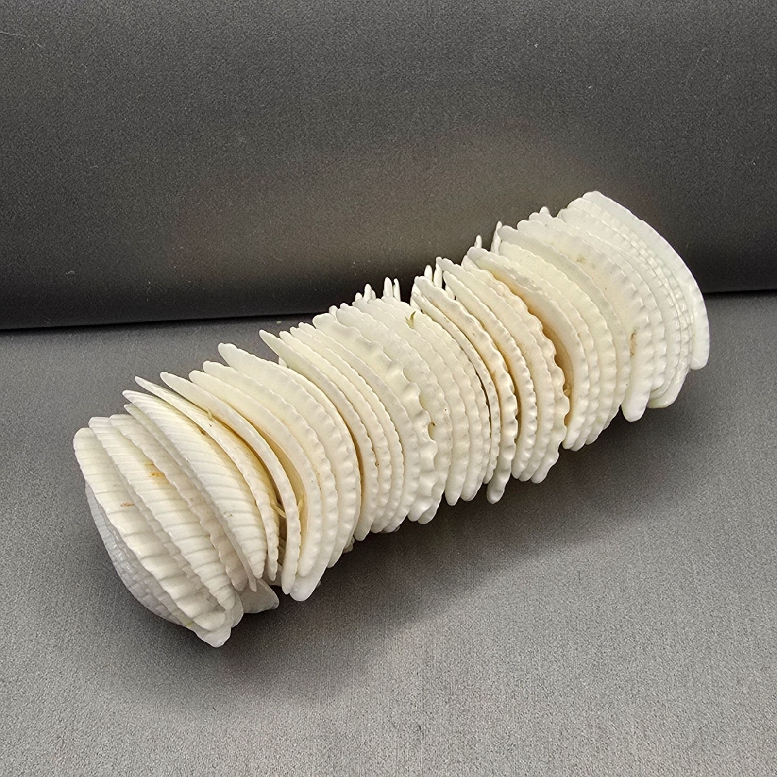 Vintage White Seashell Stretch Bracelet Bohemian Textured Statement