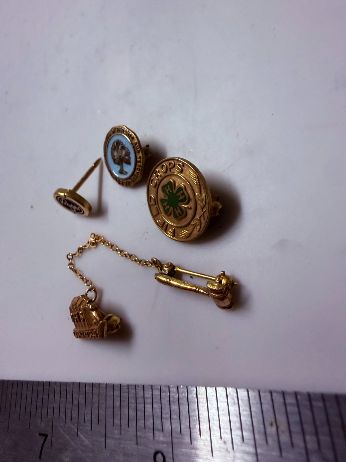 Collection Lot Amazing Vintage Gold Filled Fraternal Company Jewelry – X11