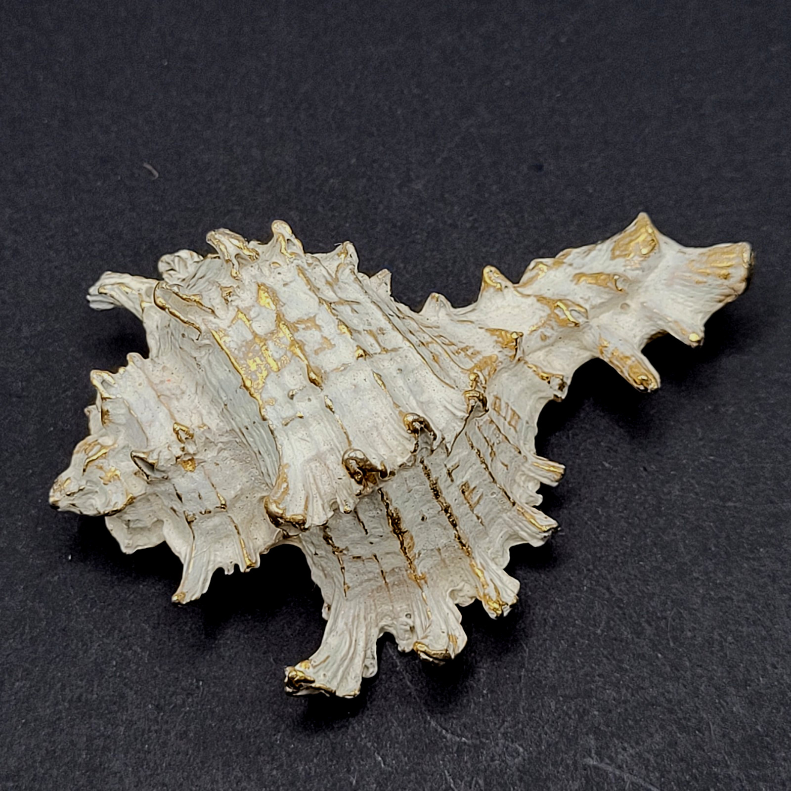 Zentall Gilded Branched Ramose Murex Spiked Conch Vintage Brooch Pin Rare
