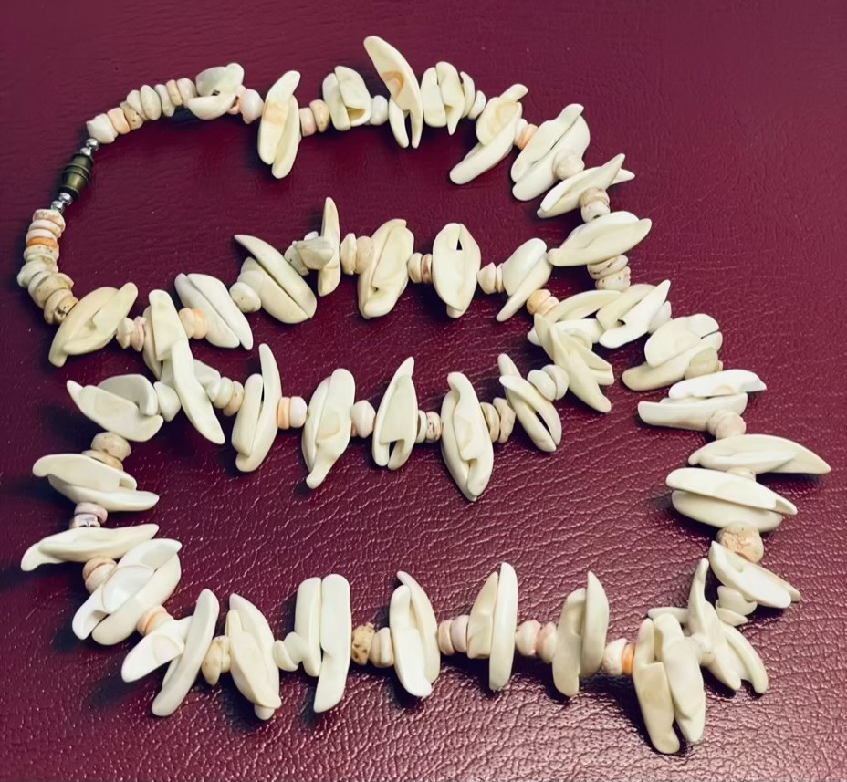 Seashell Necklace Freeform Spiky Beads Natural Off-White Pink Chunky Beach 24″