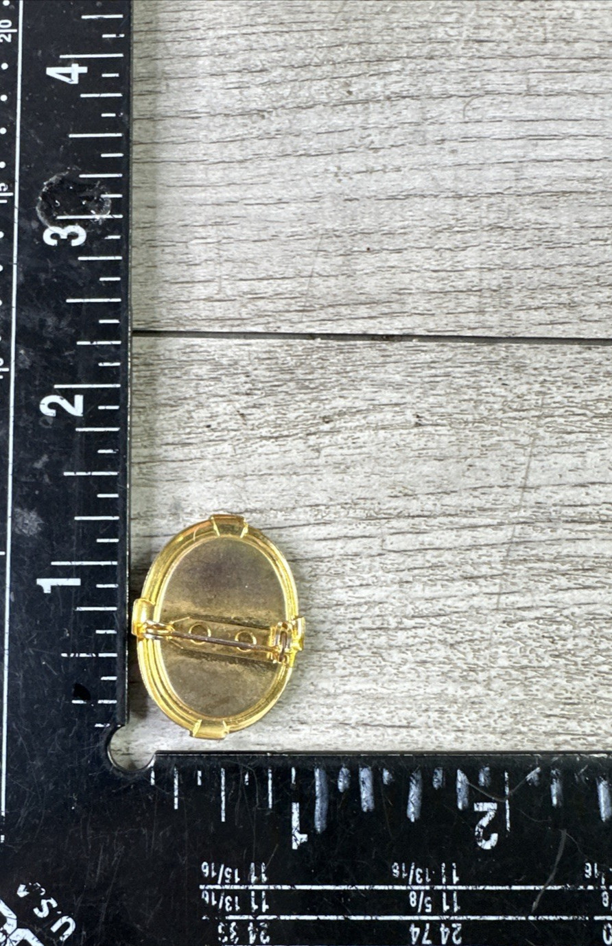 Unbranded Oval Agate Brooch Gold Tone Browns White