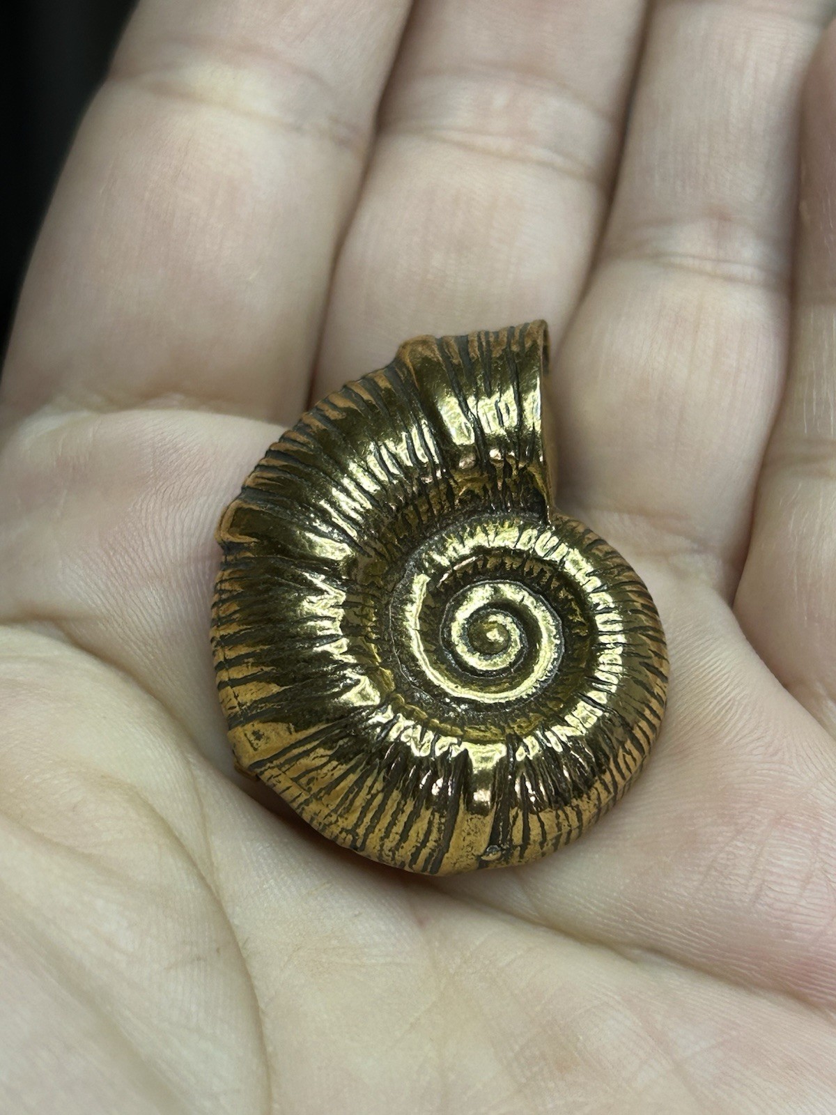 Vintage Zentall Ammonite Nautilus Shell Brooch Gold Tone Fossil 1.25”