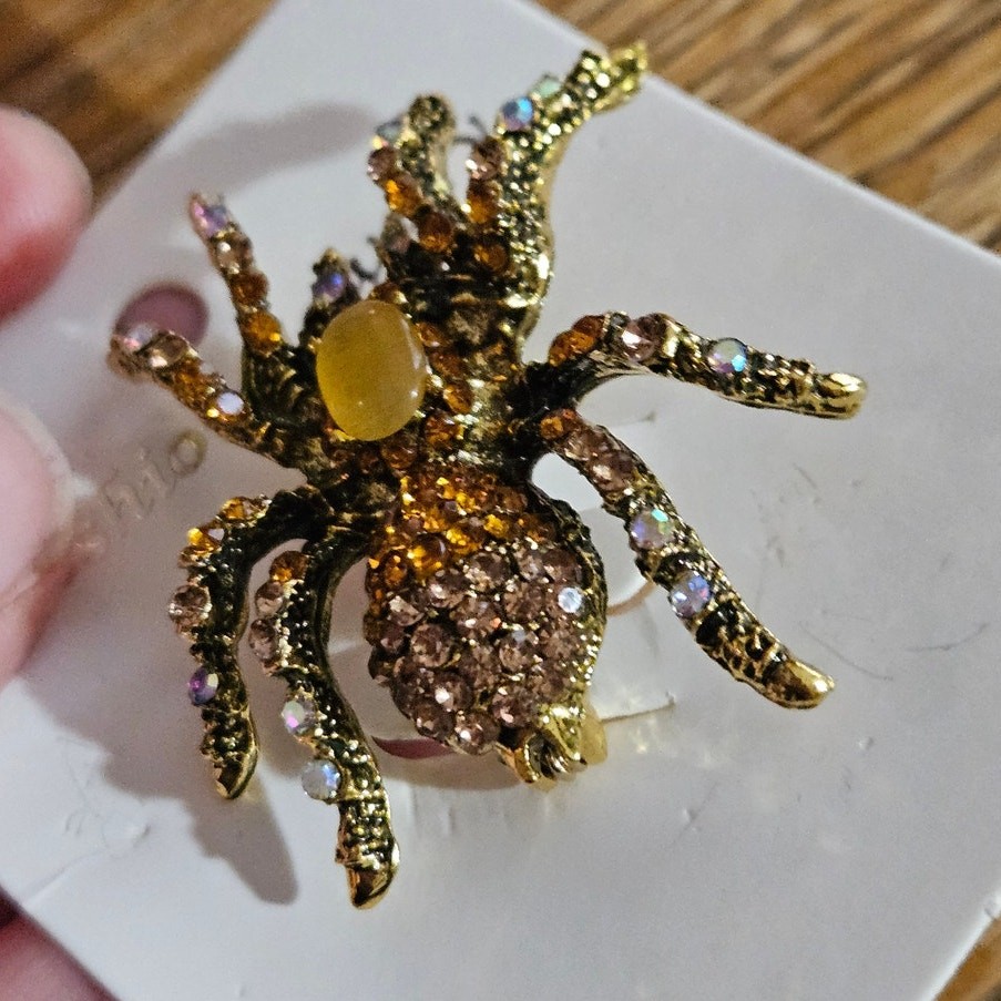 Boutique Witchy Whimsygoth Gothic Punk Grunge Retro Grannycore Spider Brooch