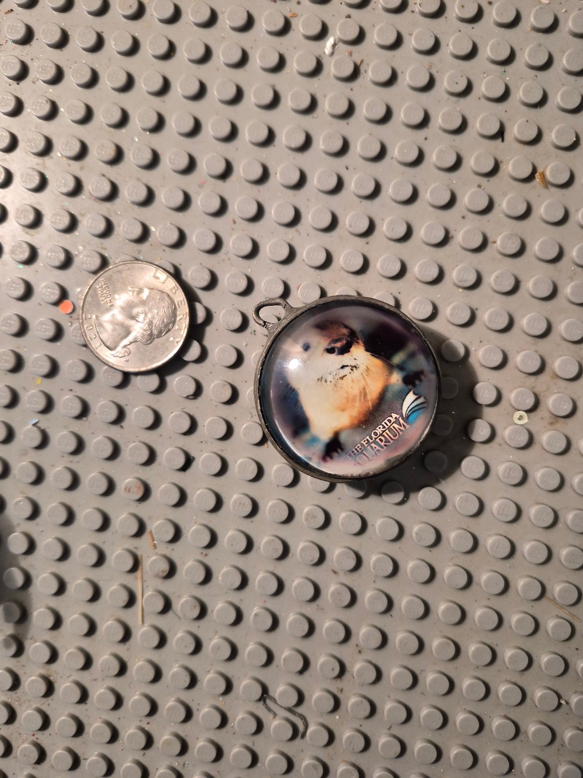 Vtg florida Aquarium Sea Otter double sided Pendant jewelry Souvenir collectible