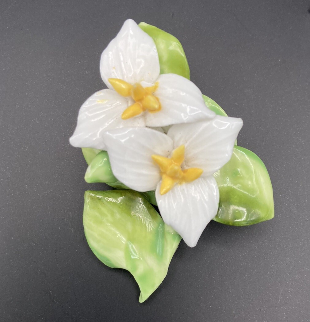 Vintage Adderley Brooch & Earrings Floral Porcelain Ladies Made In England
