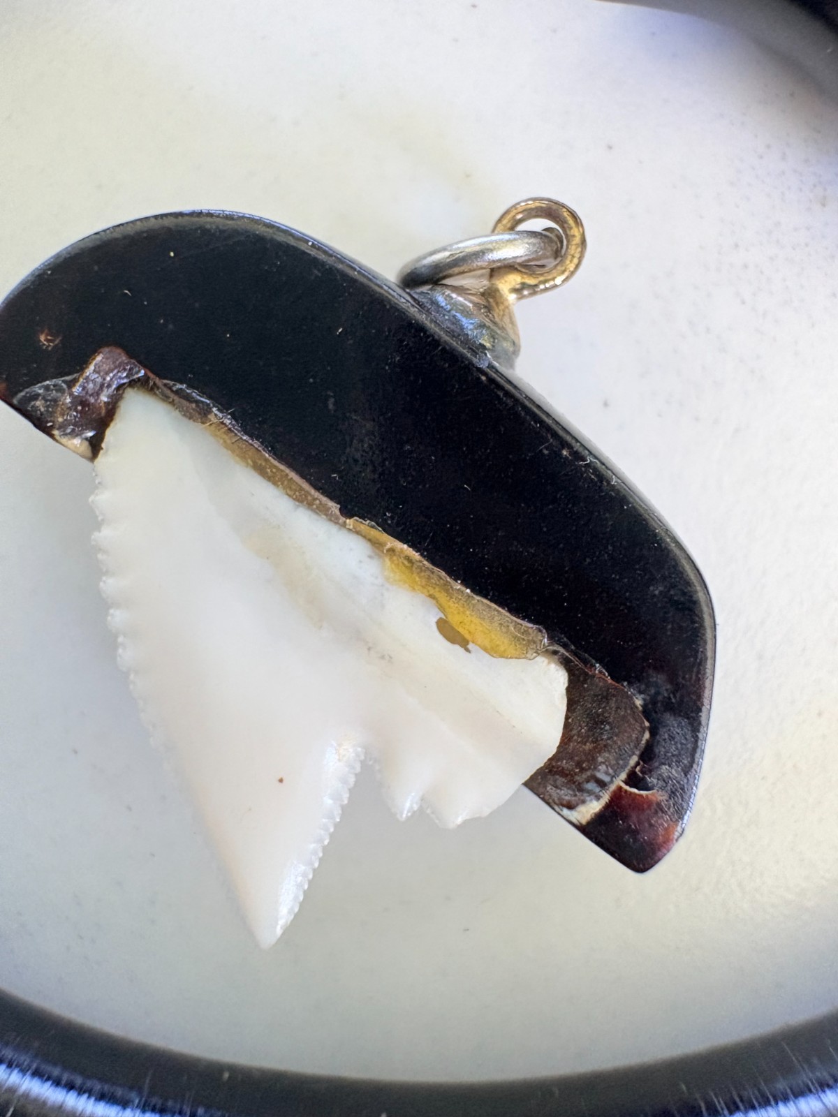Black Coral Lot of 5, Bracelet, Dolphin Pendent, Shark tooth Pendent & More NICE