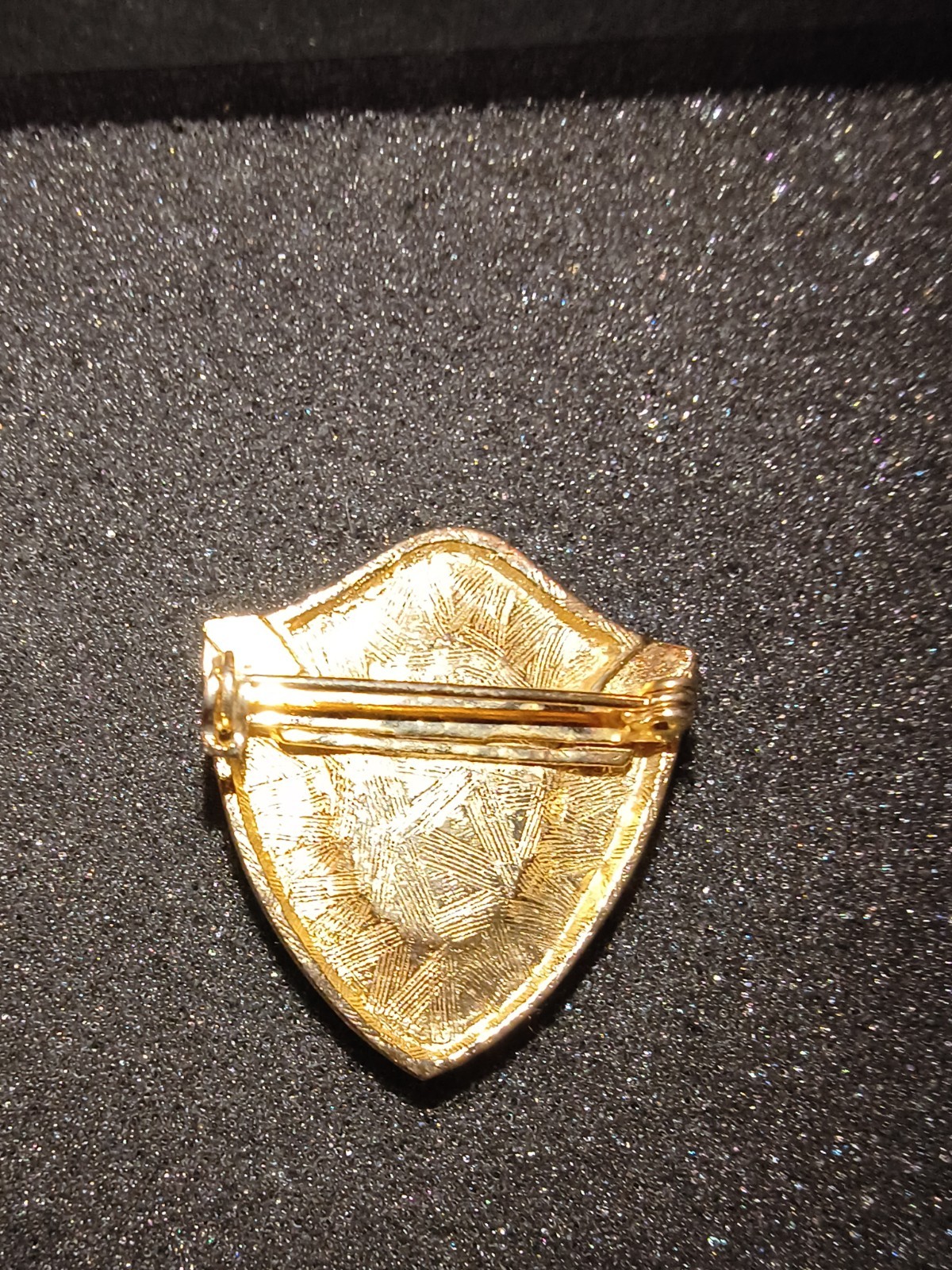 Gold Tone Shield Frame Oval Cameo Portrait Brooch Pin Orange Cream
