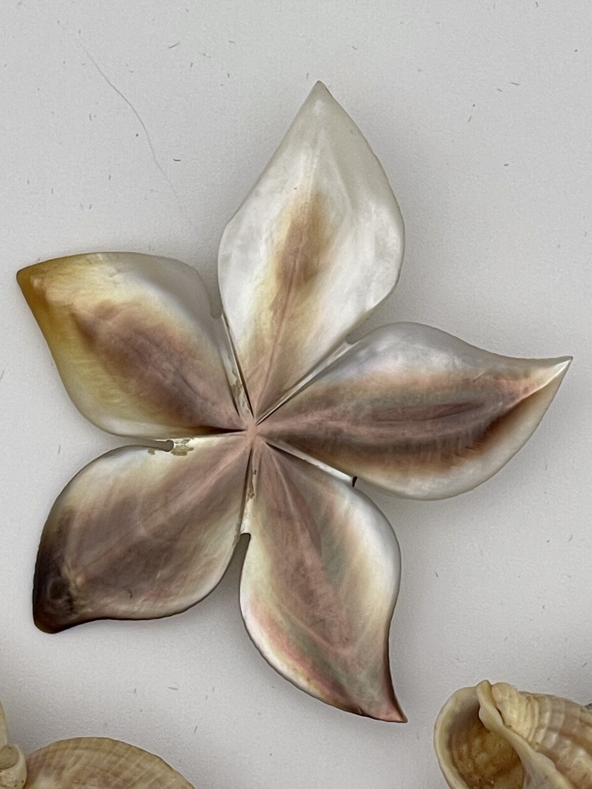 Vintage Real Sea Shell And Mother Of Pearl Jewelry Bracelet Brooches