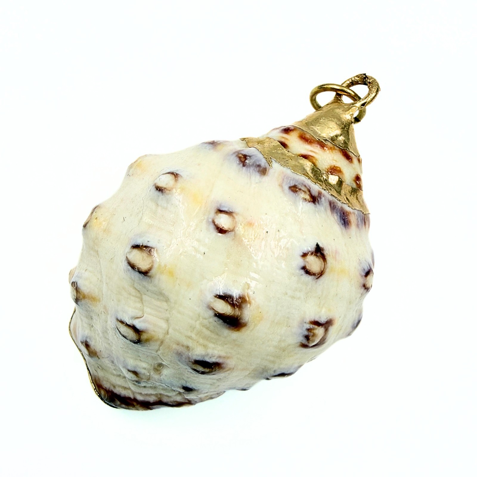 Beach Vibe! Natural Sea Shell Gold Plate Boho Pendant