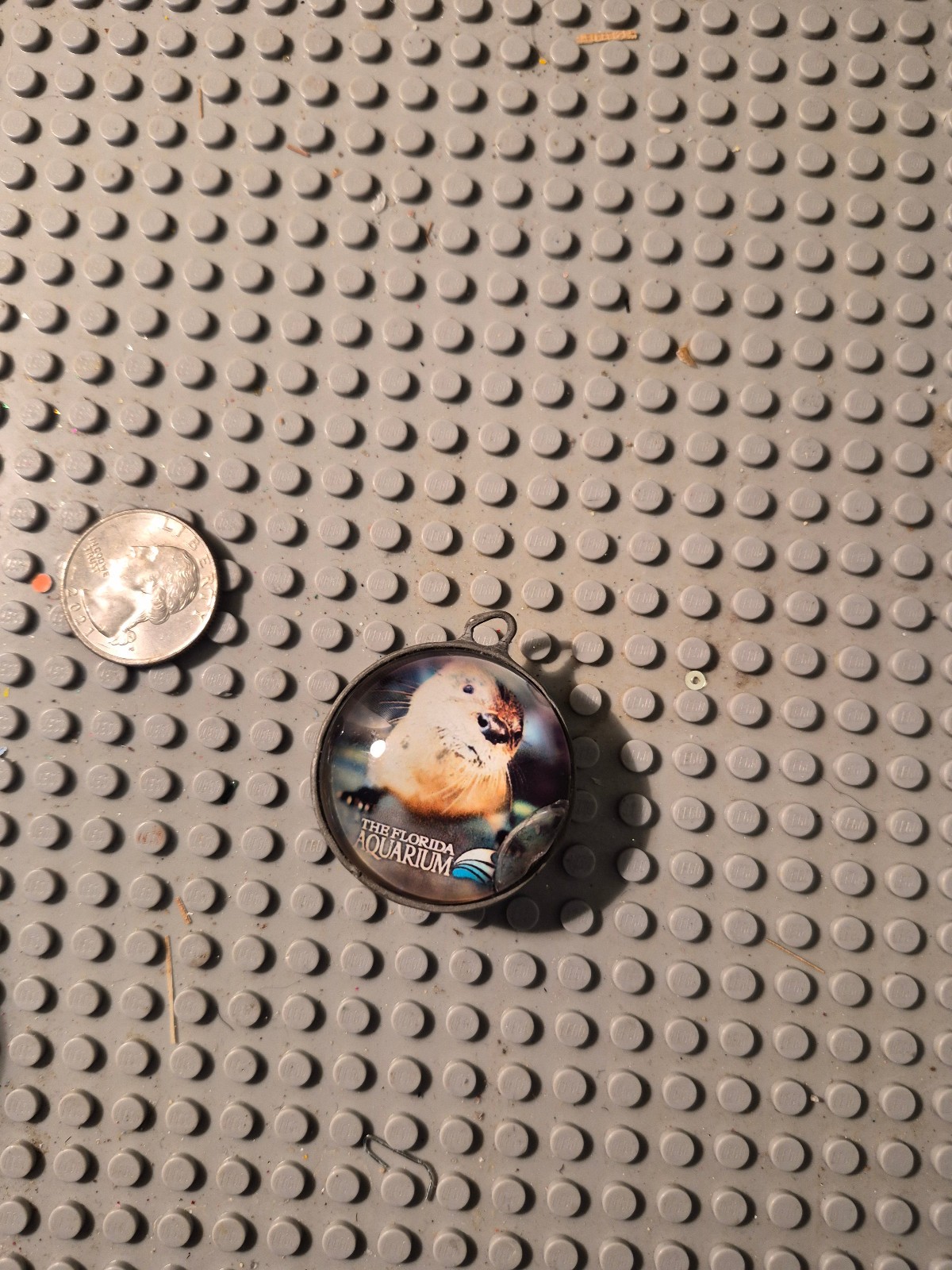 Vtg florida Aquarium Sea Otter double sided Pendant jewelry Souvenir collectible