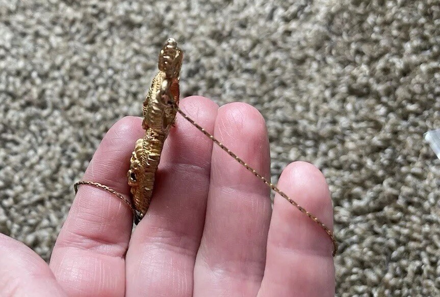 VTG Signed ALVA Museum Replica Menuki Fighting Dragon Gold Tone Necklace