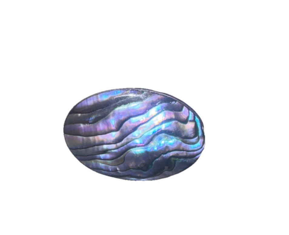 Vintage / Antique Sterling Silver and Natural Abalone Shell Pin Oval, Small