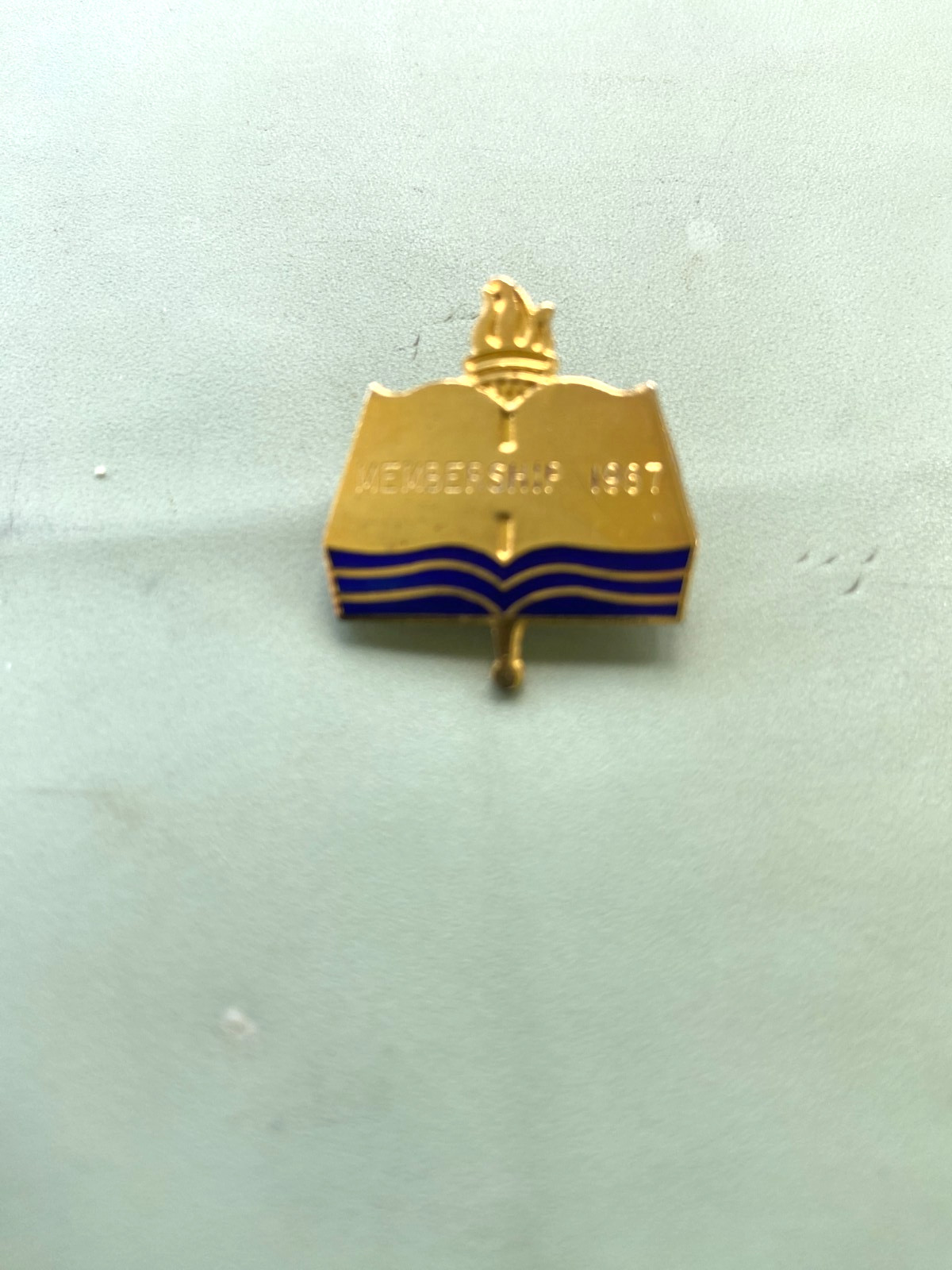 1987 MEMBERSHIP GOLD PIN BACK PIN 1” TALL BLUE ENAMEL COLLEGE NOT SURE