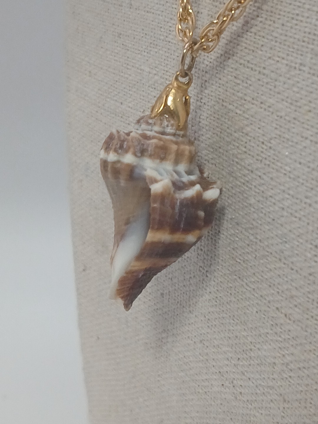 Summer Fun vintage gold tone chain natural sea shell pendant necklace