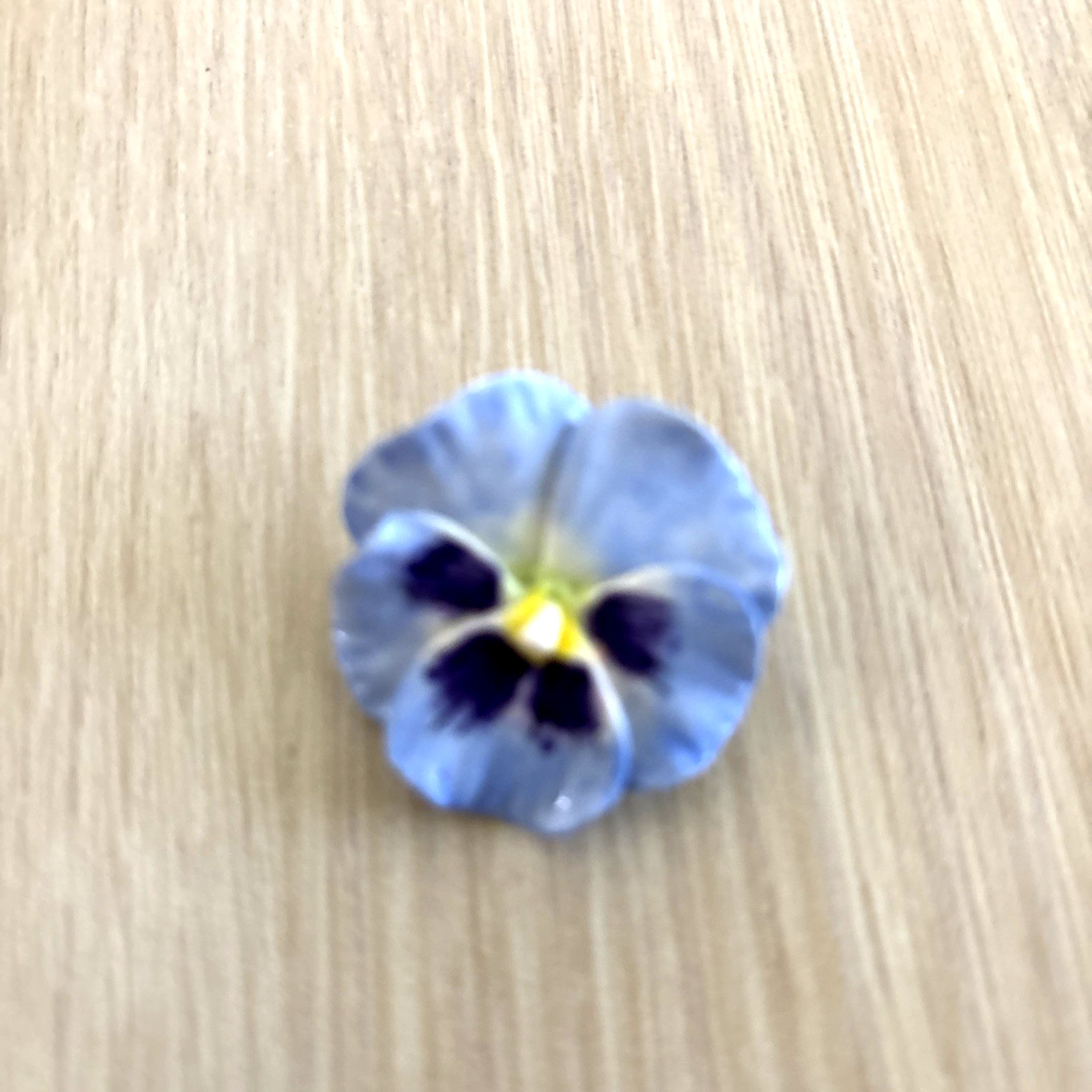 VINTAGE HANDMADE. PANSY BROOCH APPROXIMATELY 1 1/2″ JW 155