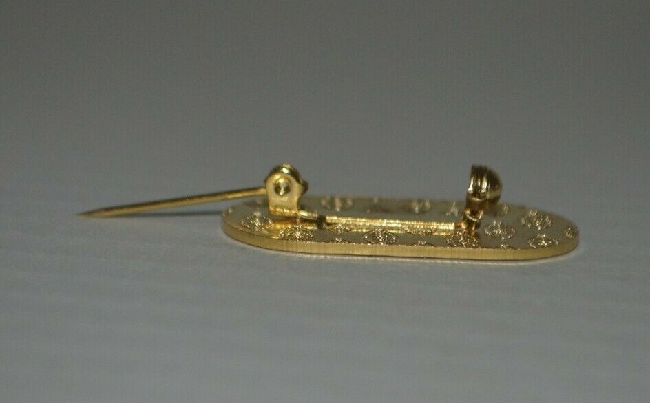 Snow Summit Oval Pin with Safety Clasp