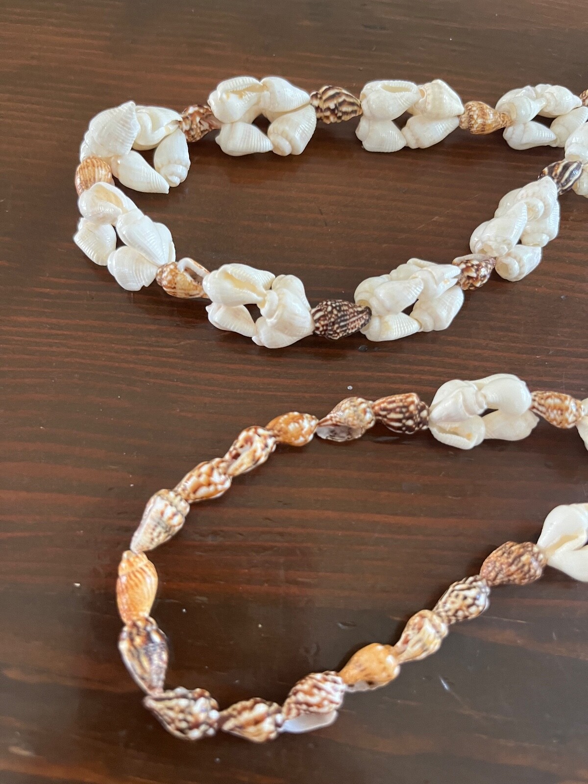 Vintage Shell Necklace 36″ Strand White and Brown Shells