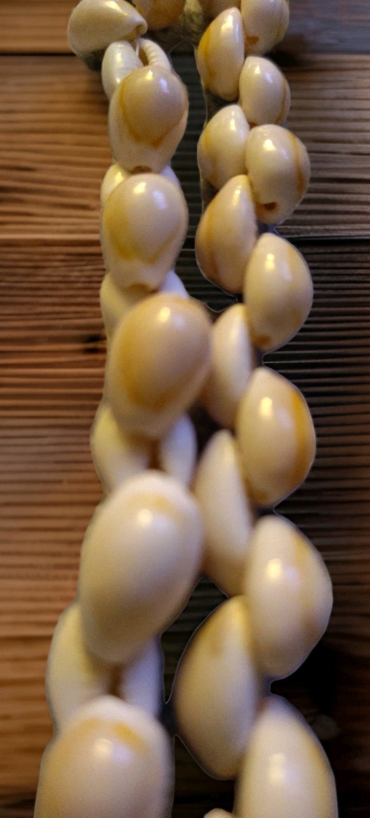 Vintage Cowrie Twisted Necklace Natural Sea Shell Beaded 32” Beautiful