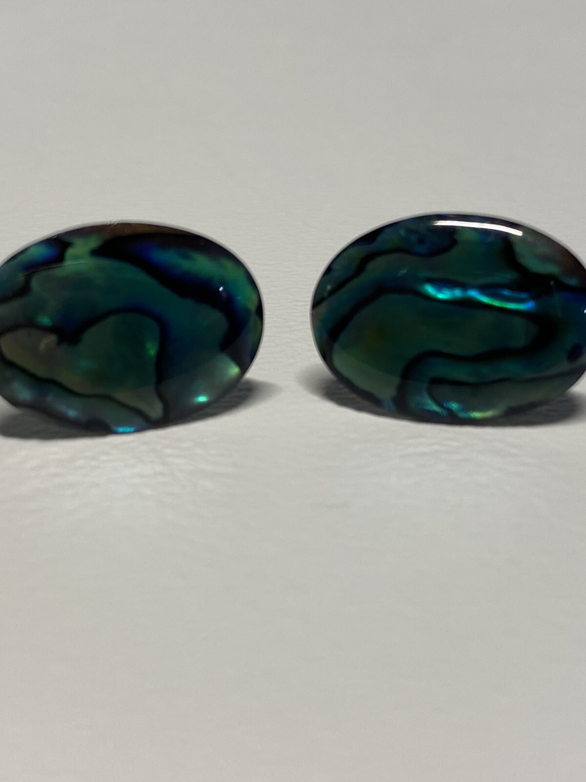 Beautiful Abalone/Paua Shell Pierced Earrings