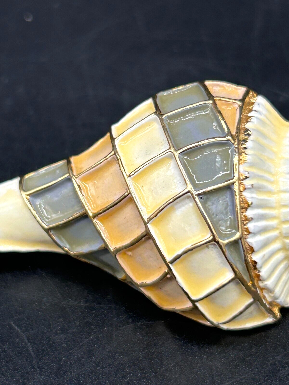Vintage Enameled Textured Whelk Conch Sea Shell Geometric Figural Brooch Pin