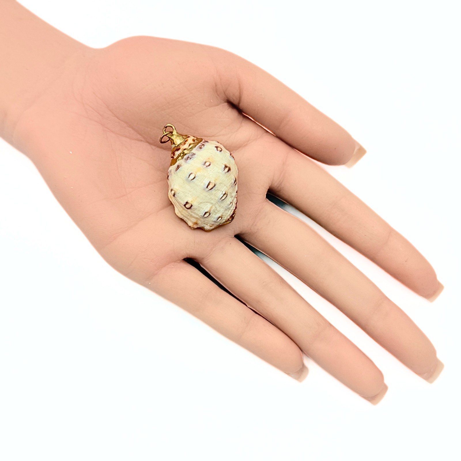 Beach Vibe! Natural Sea Shell Gold Plate Boho Pendant