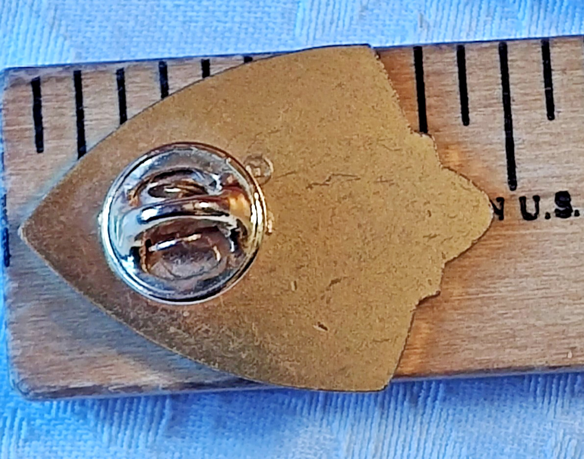 VTG Camp Lions Home Hadley District 1F / ILL Brail Gold Tone Pinch Back Pin