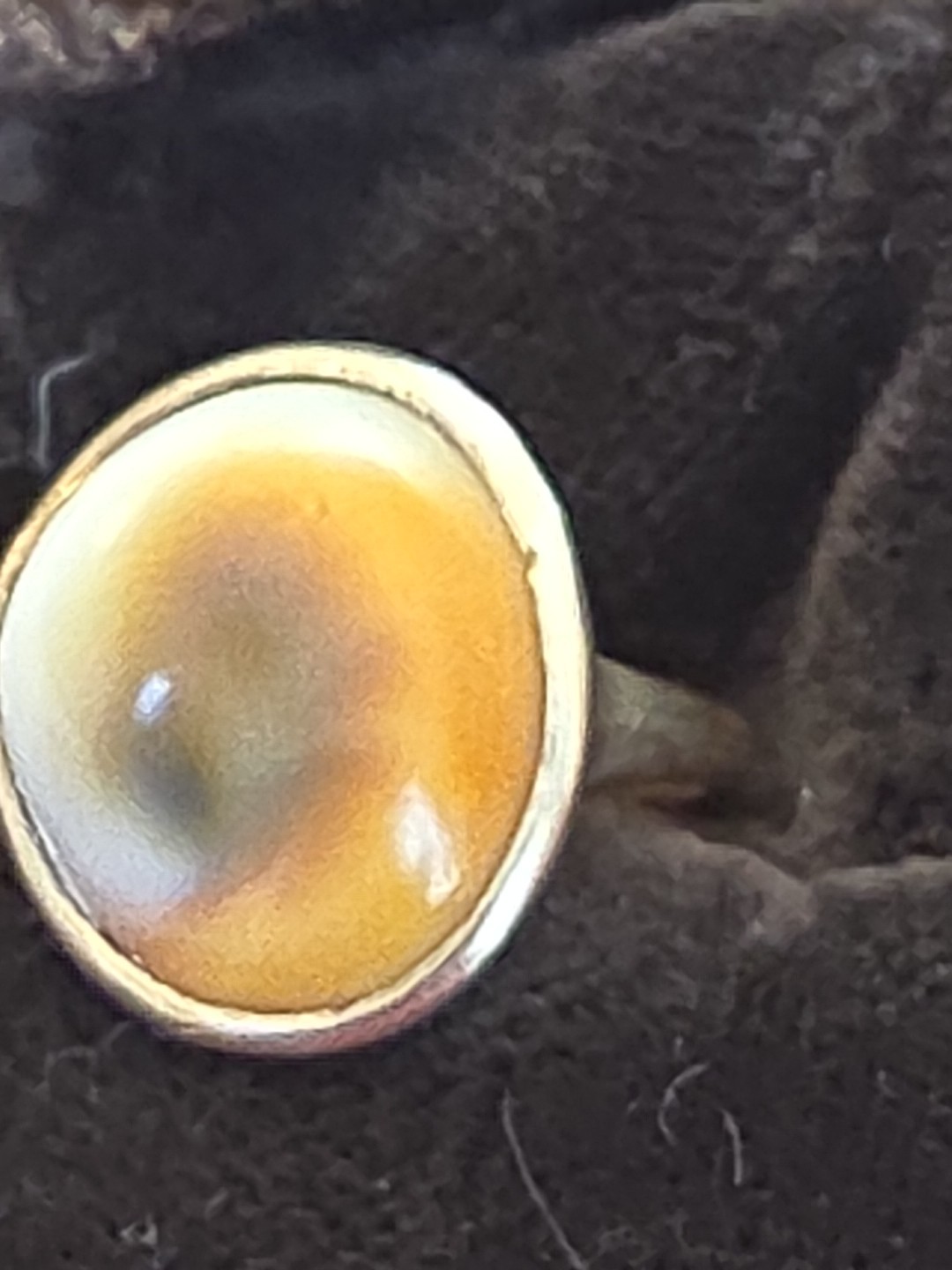 Eye Of Shiva Operculum 9 KARAT GOLD RING Antique Victorian