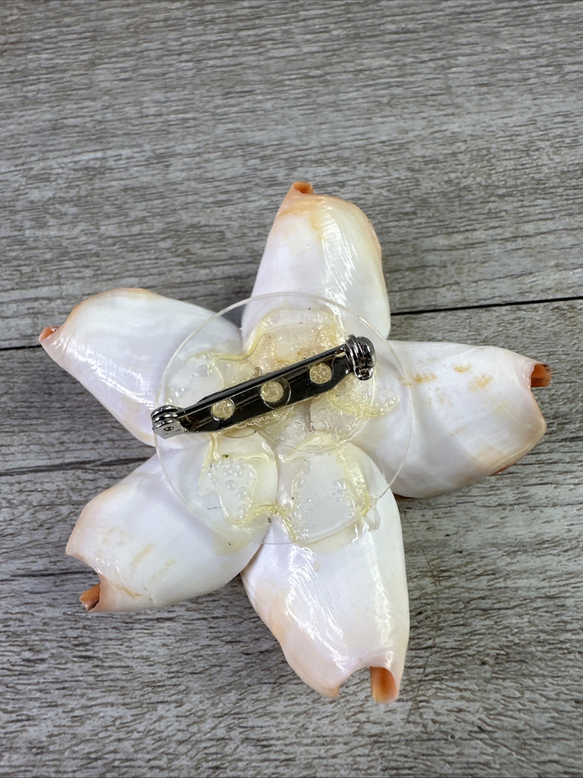 Vintage Genuine Conch Shell Pin Brooch & Stud Earrings Set Pinks Brown White