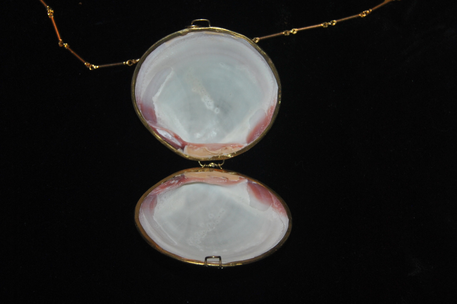 VINTAGE GOLD FRAMED LARGE CLAM SHELL PENDANT NECKLACE PURSE & BOX