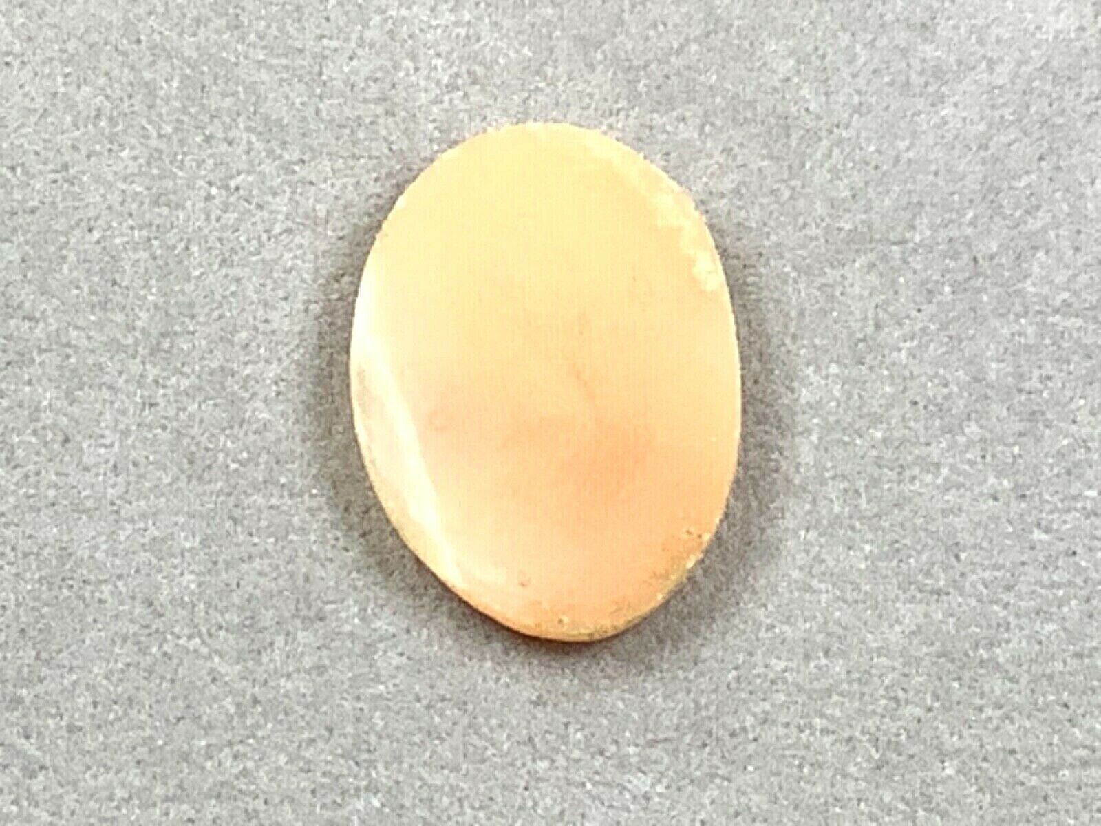 PROJECT PIECE Hand-Carved Right Facing Shell Cameo, No Bezel/Shell Only, 1” Tall