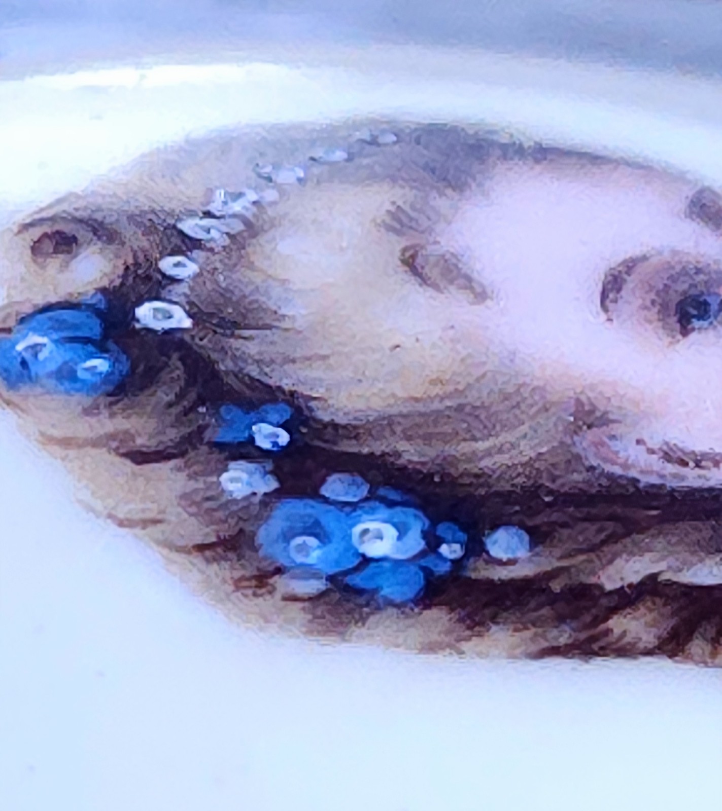 Antique Imperial Russian 84 Silver Hand‑Painted Enamel Portrait Brooch AM Mukhin