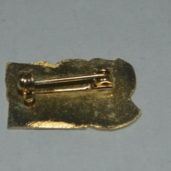 SKI Goldtone Pin with Safety Clasp