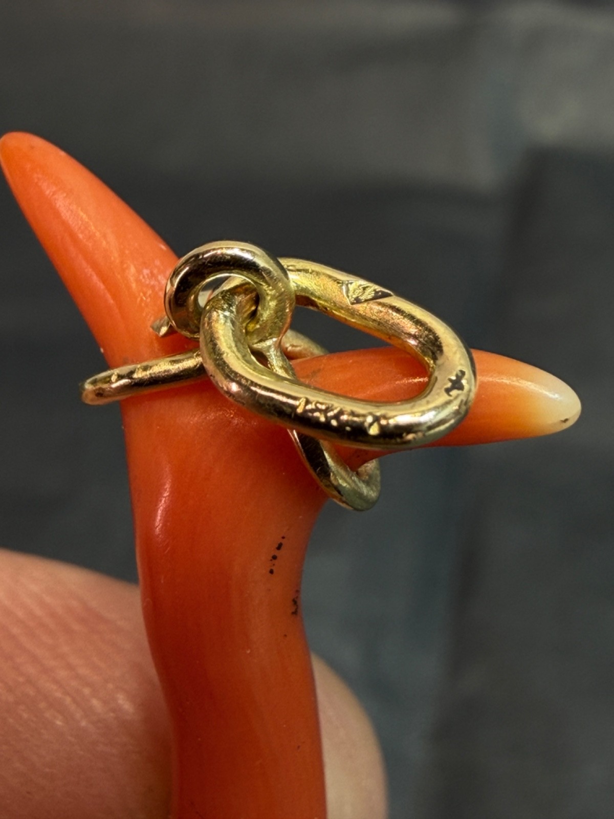 19c. Victorian 14k Gold Red Undyed Coral Phallus Fertility Amulet Fob Pendant