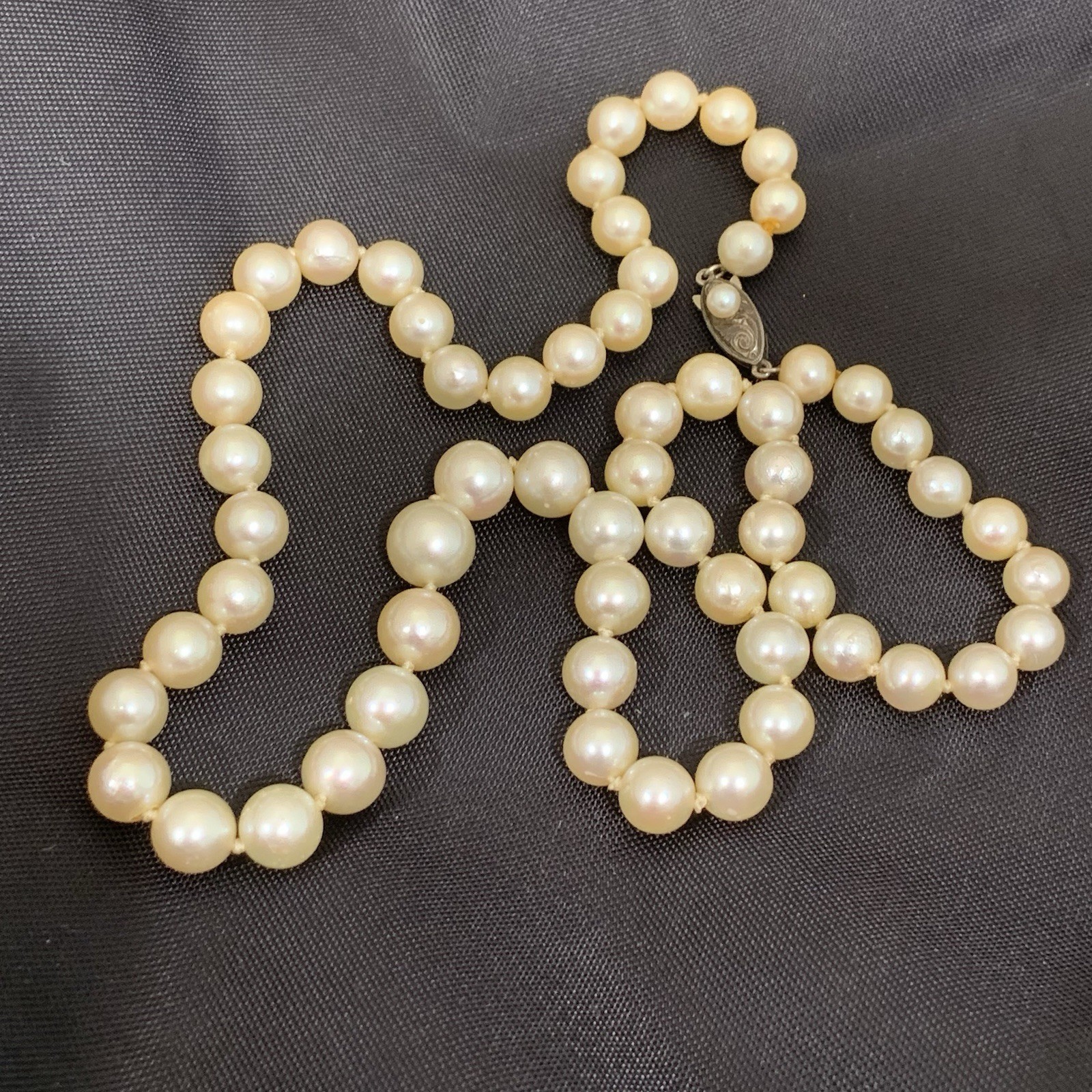 Hi Luster Fuji Akoya Pearl Necklace Strand Cream Graduated AAA+ 10mm VTG 19” WOW