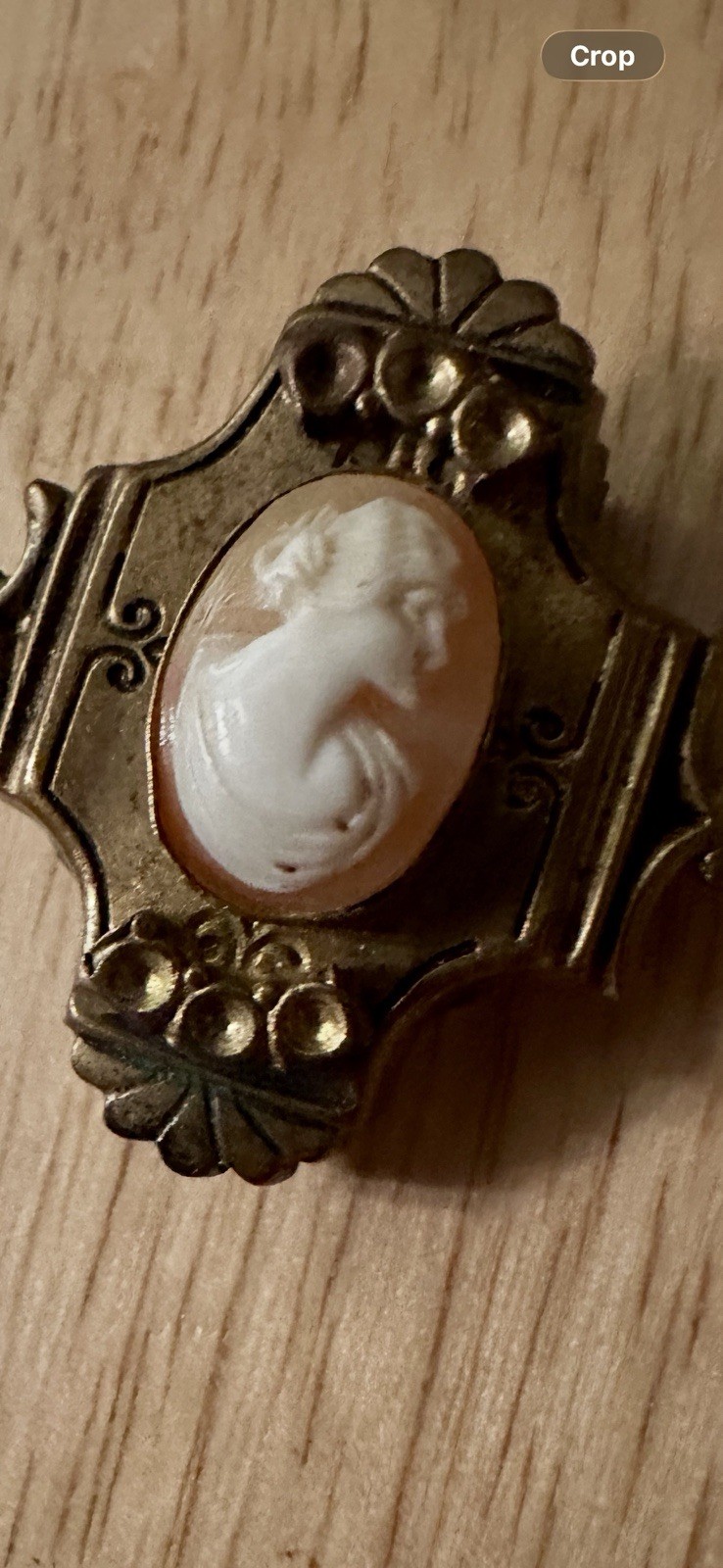 Vintage Small Cameo Dress Clip