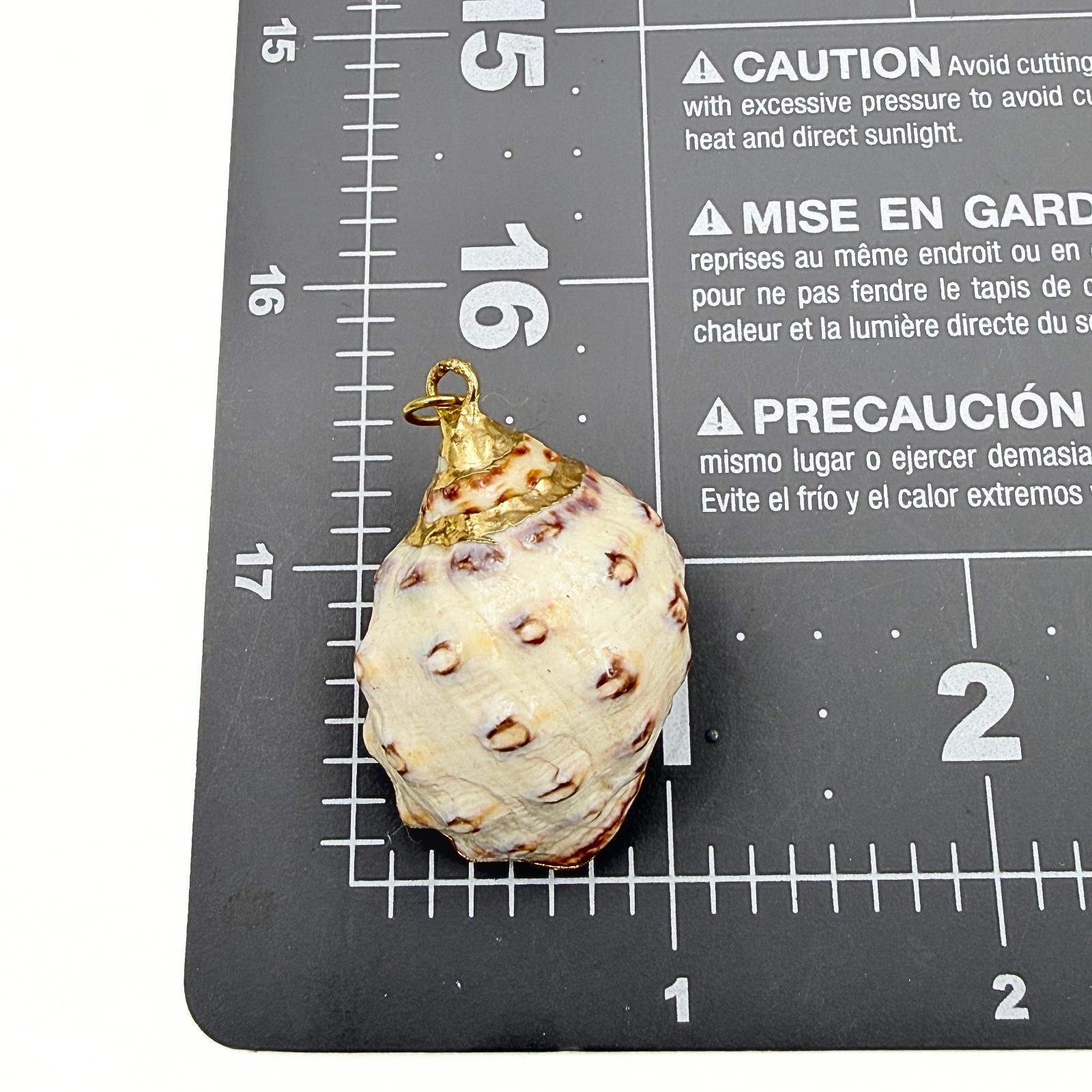 Beach Vibe! Natural Sea Shell Gold Plate Boho Pendant