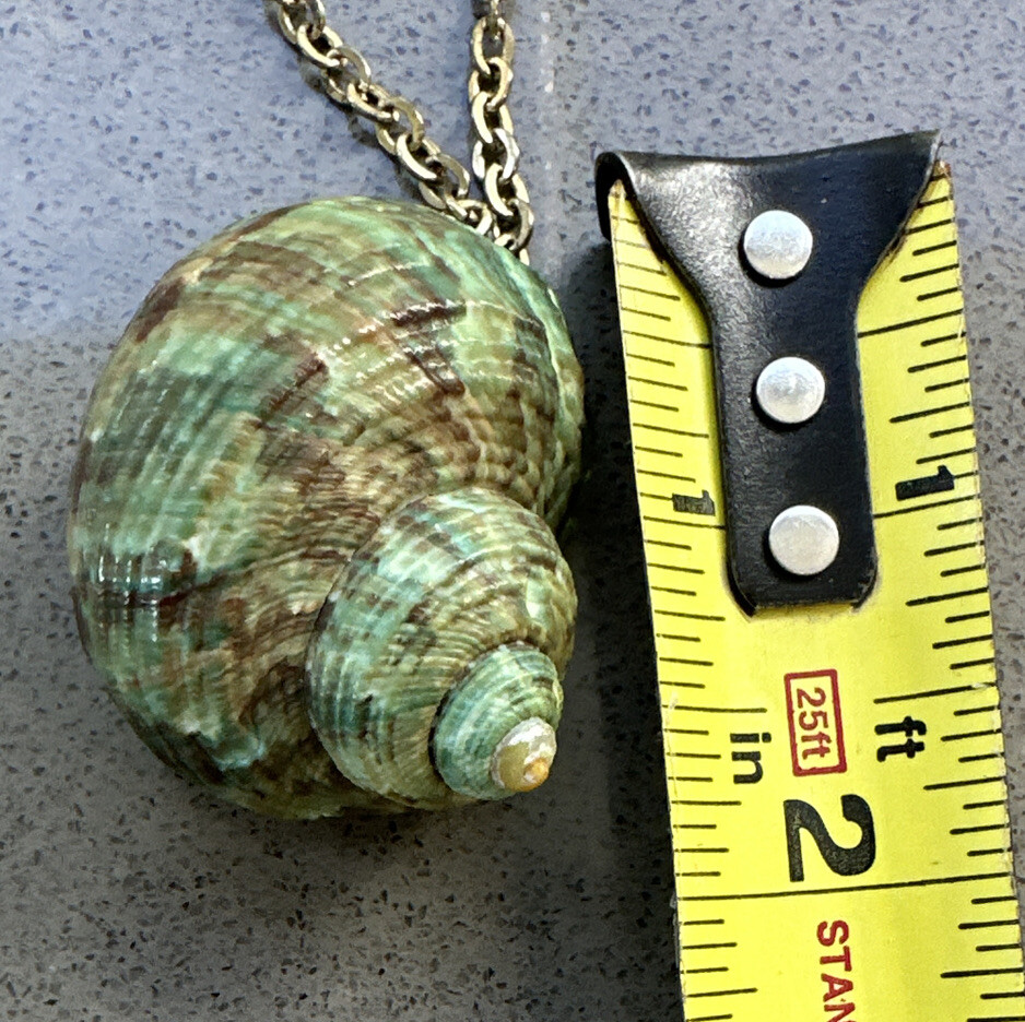 Vintage Lot Of 3 Necklaces (20” & 30”) And 6 Gold Tipped Real Seashell Pendants