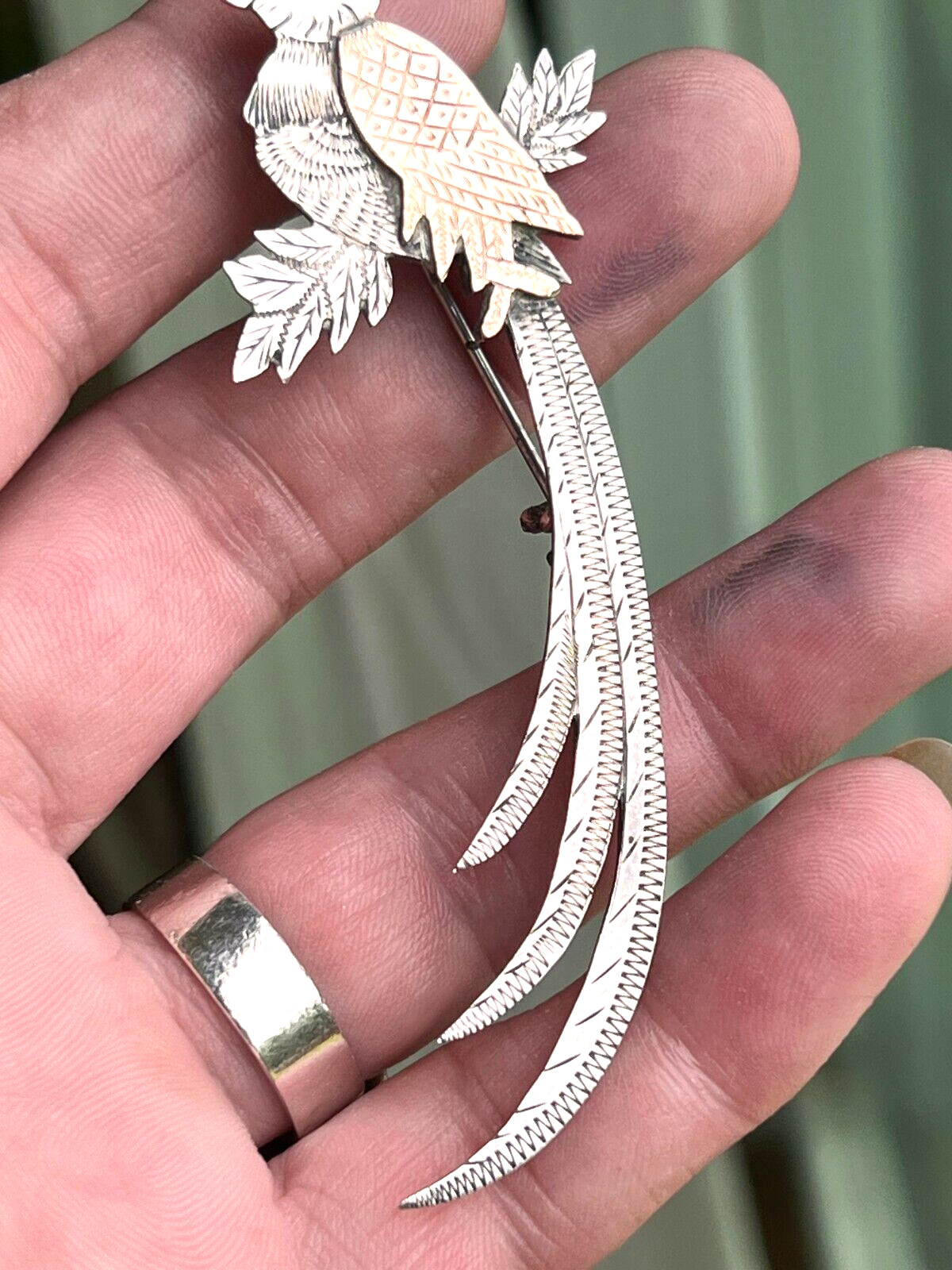 Guatemala Quetzal Bird brooch 925 Silver & gold filled diamond cut design 3 1/2