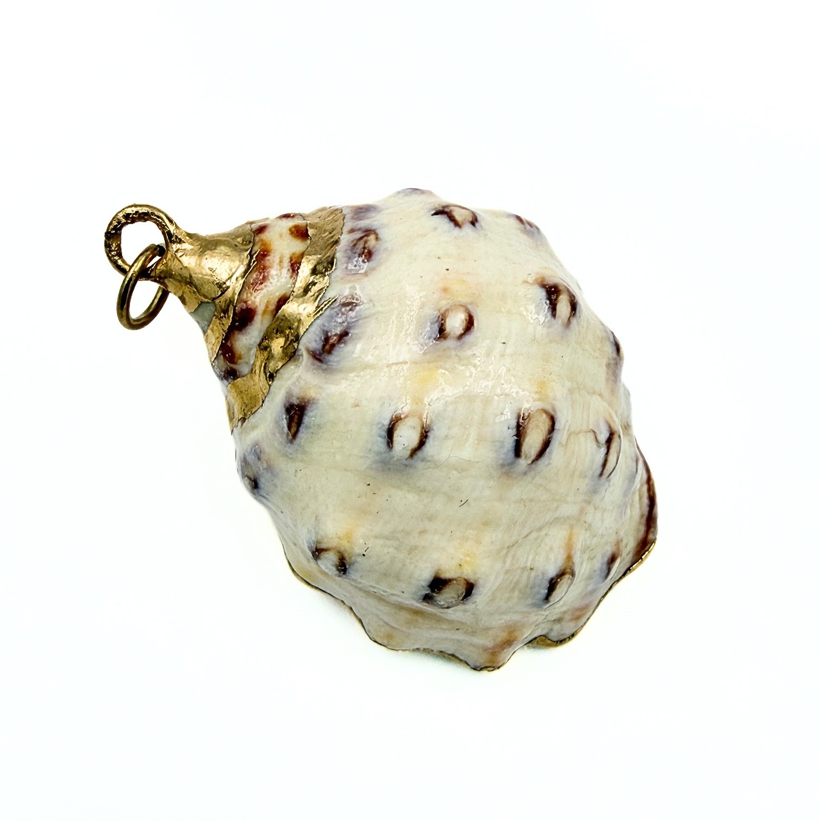 Beach Vibe! Natural Sea Shell Gold Plate Boho Pendant